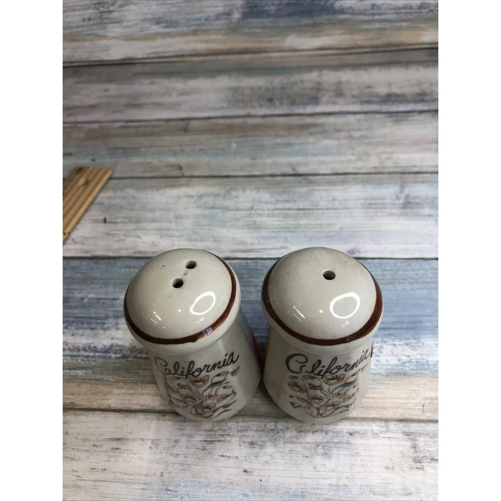 California Salt And Pepper Shaker Set Flowers Vintage Collectable